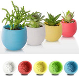 Bloempot De Max - Set van 6 Stuks - 6cm