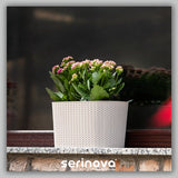 Plantenbak De Max - Set van 2 Stuks - Antraciet - 30cm