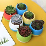 Bloempot De Max - Set van 7 Stuks - 0.13L
