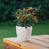 Bloempot De Max - Set van 2 Stuks - Wit - 22cm - 5L