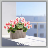 Bloempot De Max - Set van 2 Stuks - Taupe - 30cm