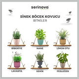 Bloempot Serinova - Set van 5 Stuks - Crème