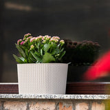 Plantenbak De Max - Set van 2 Stuks - Antraciet - 30cm