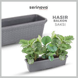 Plantenbak De Max - Set van 3 Stuks - Kunststof - 33x20x18m - 6.5L