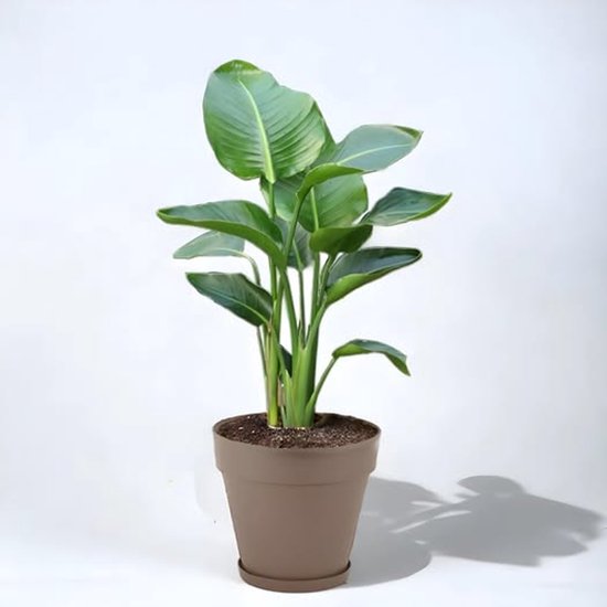 Bloempot De Max - Taupe - 46L