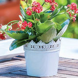 Bloempot Serinova - Set van 4 Stuks - 14cm