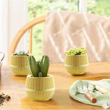 Bloempot De Max - Set van 6 Stuks - Groen - 6,5cm