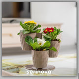 Bloempot Serinova - Wit