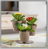 Bloempot De Max - Wit