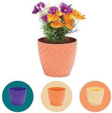 Bloempot De Max - 5L