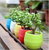 Bloempot De Max - Set van 7 Stuks - 1.3L