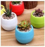 Bloempot Serinova - Set van 6 Stuks - 6cm