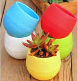 Bloempot Serinova - Set van 6 Stuks - 6cm