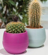 Bloempot Serinova - Set van 6 Stuks - 6cm