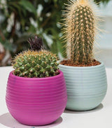 Bloempot Serinova - Set van 6 Stuks - Blauw - 10cm