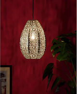 Hanglamp Argos Home - Staal