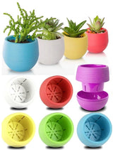Bloempot De Max - 6.5cm - 0.13L