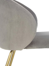 Eetkamerstoel De Max - Set van 2 Stuks - Velours