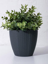 Bloempot De Max - Set van 7 Stuks