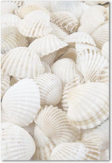 Wandpaneel De Max - 70x50x3cm