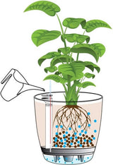 Bloempot De Max - Zwart - 66L