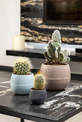 Bloempot De Max - Set van 6 Stuks - 6cm