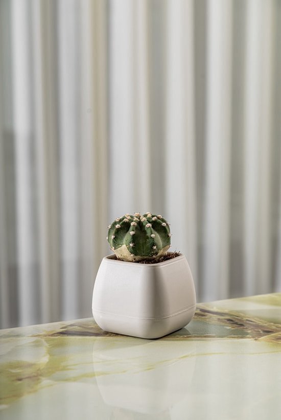 Bloempot De Max - Set van 4 Stuks - 6x7cm