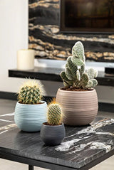 Bloempot Serinova - Set van 6 Stuks - 6cm