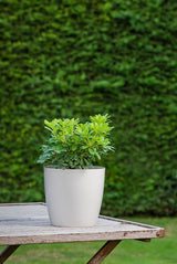 Bloempot Serinova - Set van 2 Stuks - 7.4L