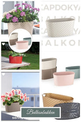Bloempot De Max - Set van 5 Stuks - Wit