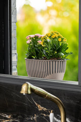 Plantenbak Serinova - Set van 2 Stuks - Antraciet - 51x15cm - 8L