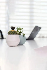 Bloempot De Max - Set van 6 Stuks - Geel - 13cm