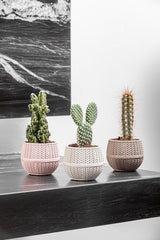 Bloempot Serinova - Set van 6 Stuks - Antraciet - 6,5cm