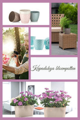 Bloempot De Max - Set van 5 Stuks - Crème