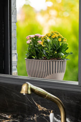Plantenbak De Max - Roze - 51cm