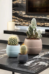 Bloempot De Max - Set van 6 Stuks - Crème - 10cm