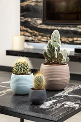 Bloempot De Max - Set van 6 Stuks - 6cm