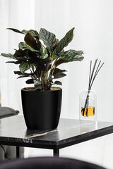 Bloempot De Max - 14cm