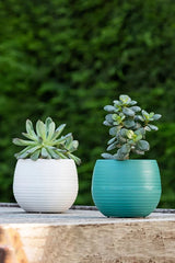Bloempot De Max - Set van 6 Stuks - Taupe - 13cm - 1.3L