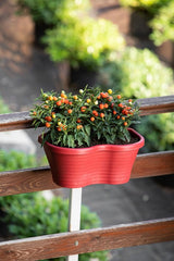 Plantenbak Serinova - Set van 2 Stuks - Groen - 6.5L
