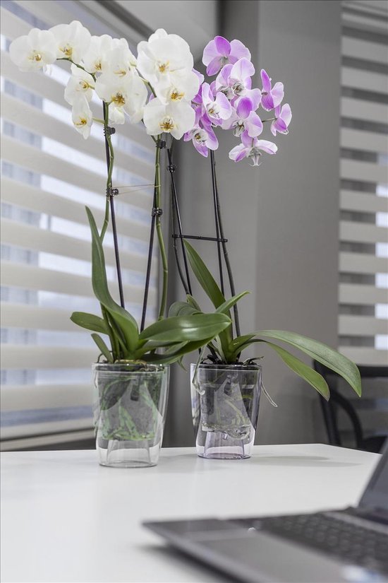 Bloempot De Max - Set van 3 Stuks - 3L