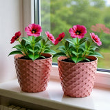 3+2 De Max - Set van 5 Stuks - Crème
