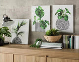 Schildercanvas De Max - Set van 3 Stuks - 30x40cm