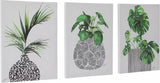 Schildercanvas De Max - Set van 3 Stuks - 30x40cm