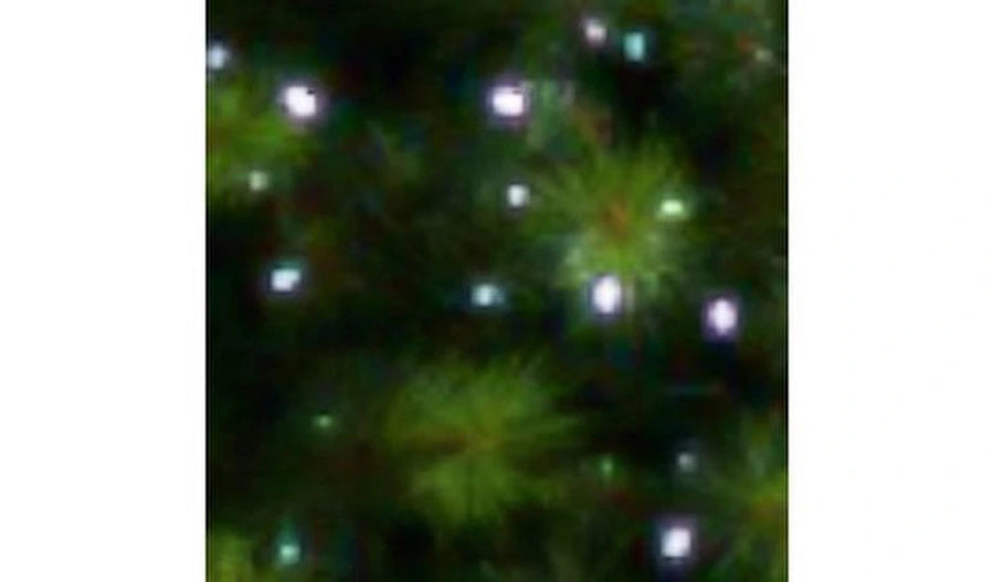 Kerstboomverlichting Argos - Kerstversiering