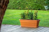 Plantenbak Serinova - Kunststof - Antraciet - 75x30cm - 42L