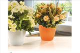 Bloempot Serinova - Rood - 5L