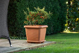 Plantenbak Serinova - 25.5L