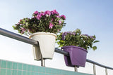 Plantenbak Serinova - 15.5L