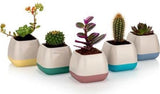 Bloempot Serinova - Set van 4 Stuks - 6x7cm